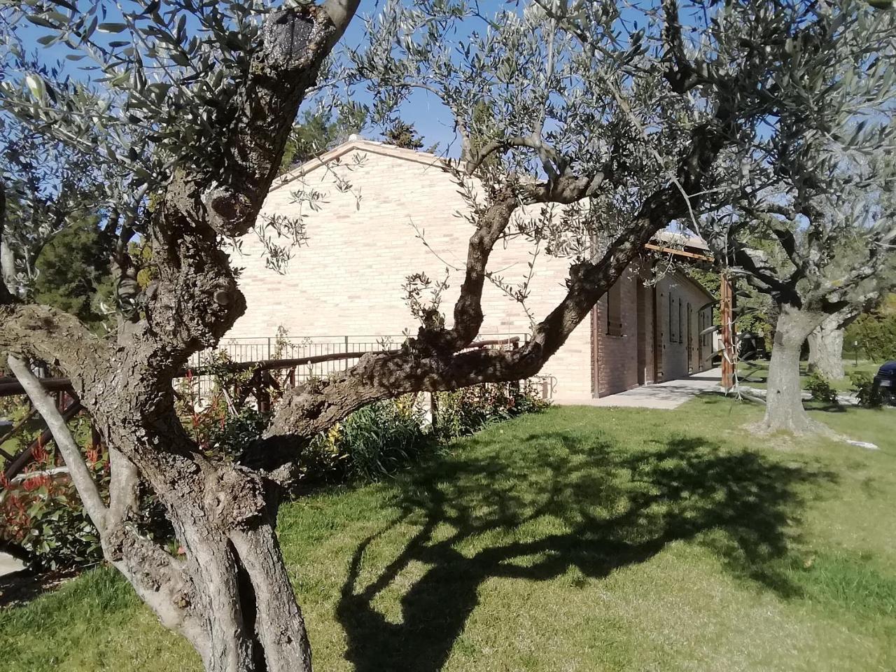 Il Roccolo Di Valcerasa Apartment Treia